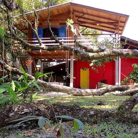 Casa Estilosa E Rustica Com Vista Para O Por Do Sol Da Ilha Do Mel! المظهر الخارجي الصورة